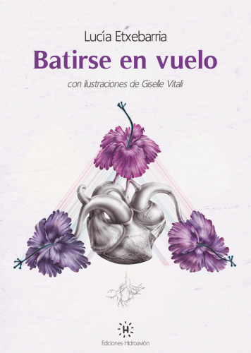 Portada-batirse-en-vuelo.png